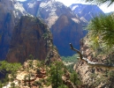 PICTURES/Angels Landing - Zion/t_Angels Landing7a.jpg